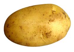 pommes de terre, antioxydants